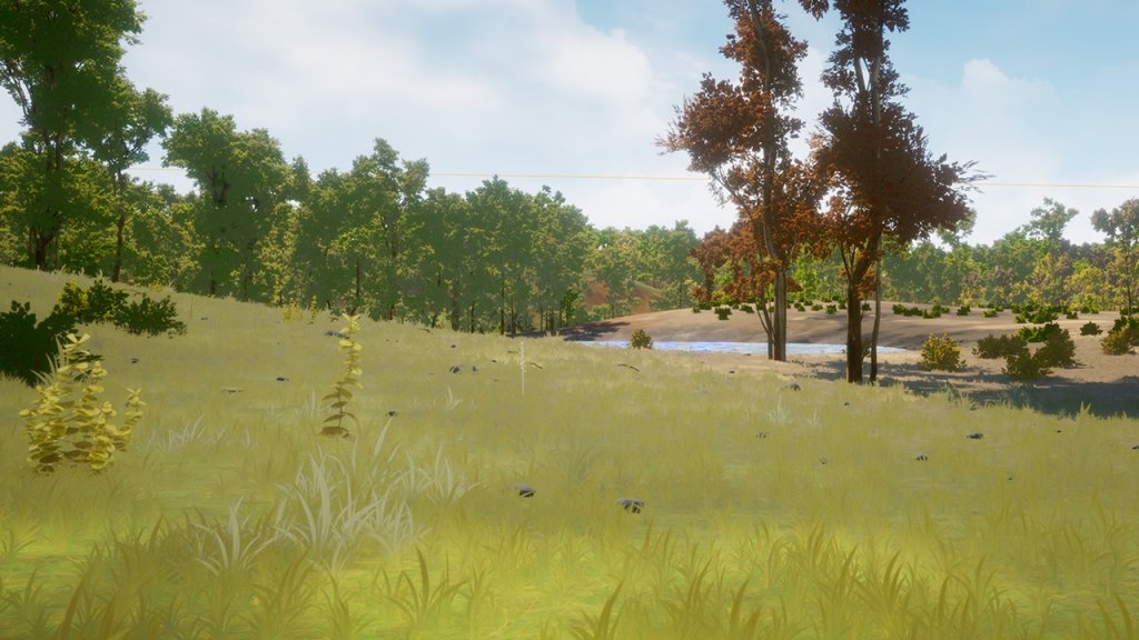 图片[17]-【UE虚幻资源】植被合集1 森林自动材质-Vegetation Vol 1 – Forest Automaterial-IMAXCG