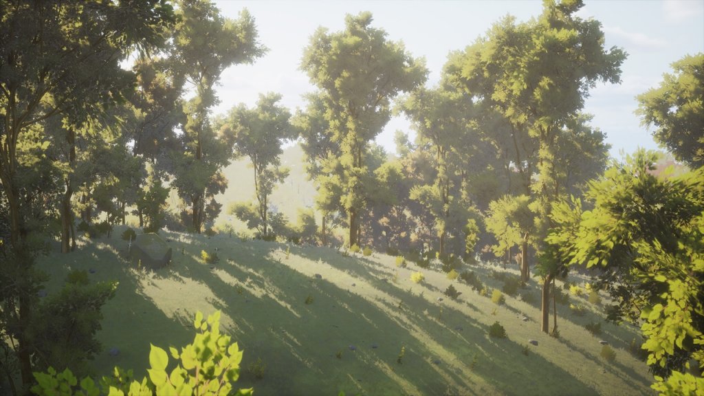 图片[3]-【UE虚幻资源】植被合集1 森林自动材质-Vegetation Vol 1 – Forest Automaterial-IMAXCG