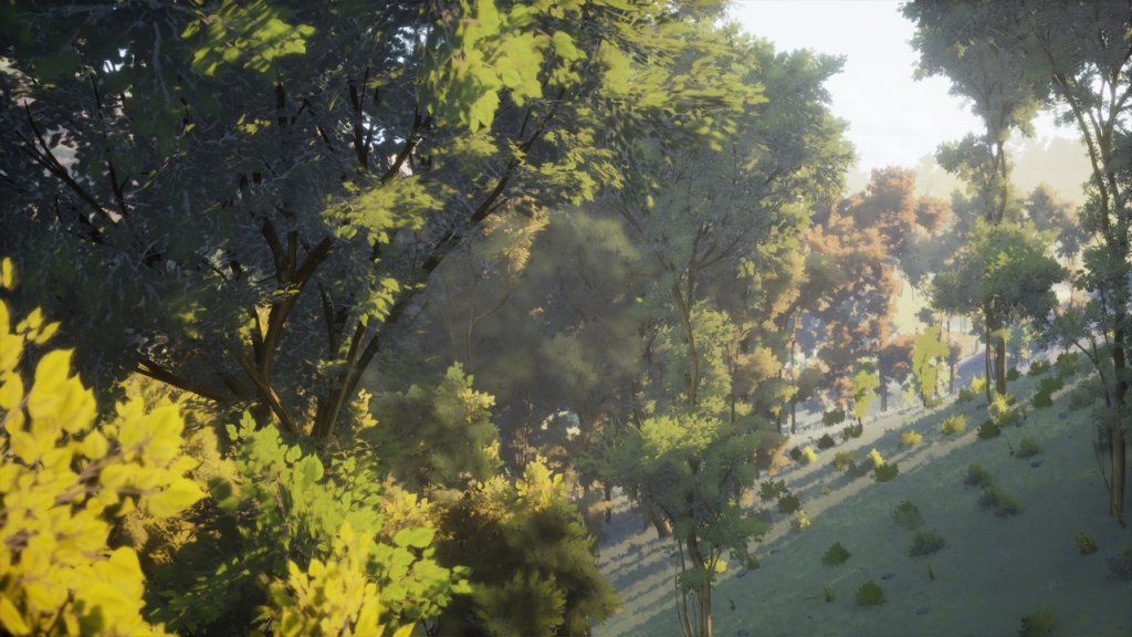 图片[4]-【UE虚幻资源】植被合集1 森林自动材质-Vegetation Vol 1 – Forest Automaterial-IMAXCG