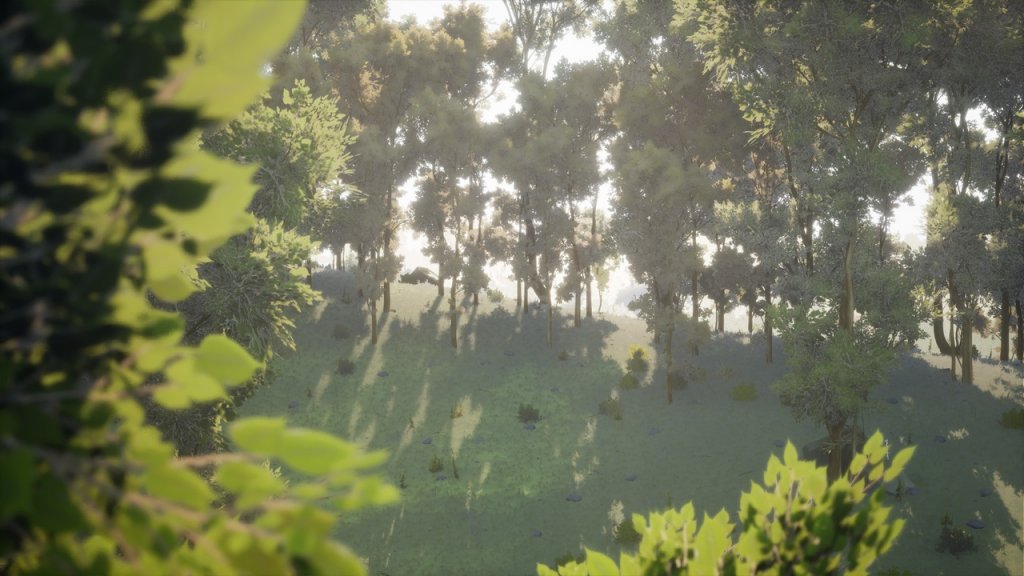 图片[5]-【UE虚幻资源】植被合集1 森林自动材质-Vegetation Vol 1 – Forest Automaterial-IMAXCG