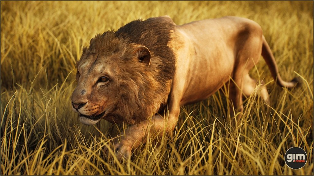 图片[2]-【UE虚幻资源】雄狮资源包-Animalia – Lion (male)-IMAXCG