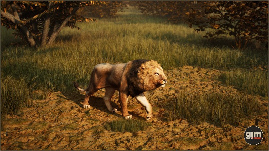 图片[3]-【UE虚幻资源】雄狮资源包-Animalia – Lion (male)-IMAXCG