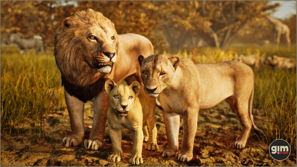 图片[4]-【UE虚幻资源】雄狮资源包-Animalia – Lion (male)-IMAXCG