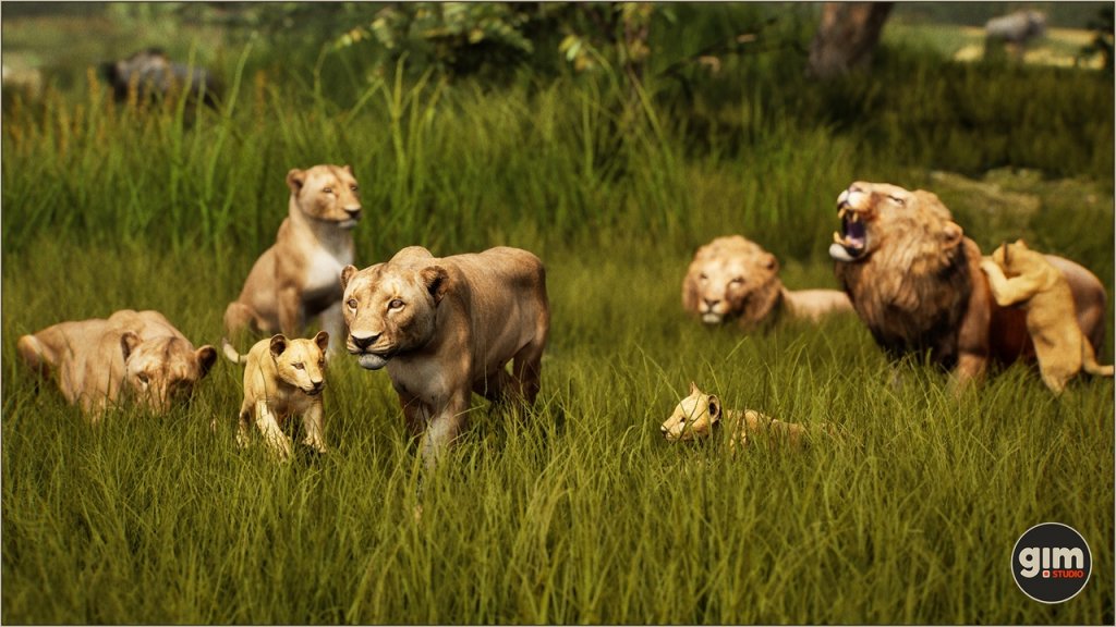 图片[5]-【UE虚幻资源】雄狮资源包-Animalia – Lion (male)-IMAXCG
