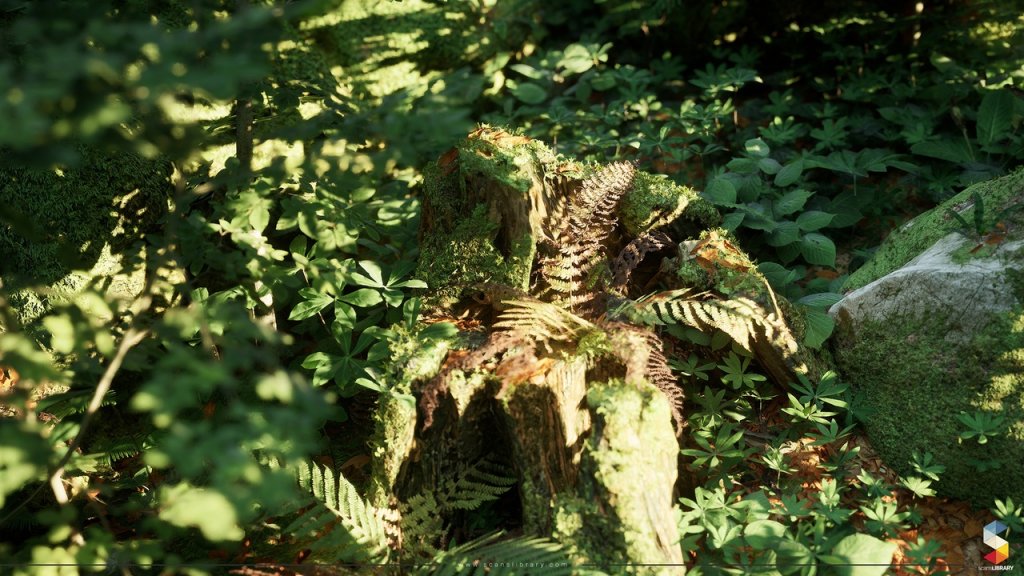 图片[9]-【UE虚幻资源】榉树林生态环境包-Beech Forest Ecosystem-IMAXCG