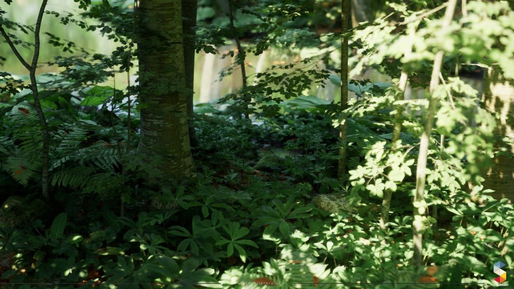 图片[10]-【UE虚幻资源】榉树林生态环境包-Beech Forest Ecosystem-IMAXCG