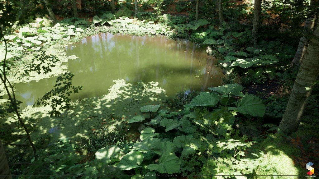 图片[11]-【UE虚幻资源】榉树林生态环境包-Beech Forest Ecosystem-IMAXCG