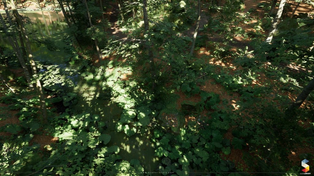 图片[12]-【UE虚幻资源】榉树林生态环境包-Beech Forest Ecosystem-IMAXCG