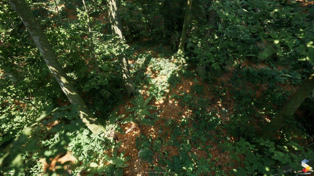 图片[13]-【UE虚幻资源】榉树林生态环境包-Beech Forest Ecosystem-IMAXCG