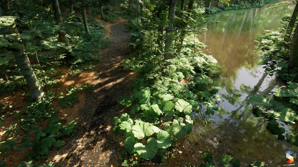 图片[14]-【UE虚幻资源】榉树林生态环境包-Beech Forest Ecosystem-IMAXCG