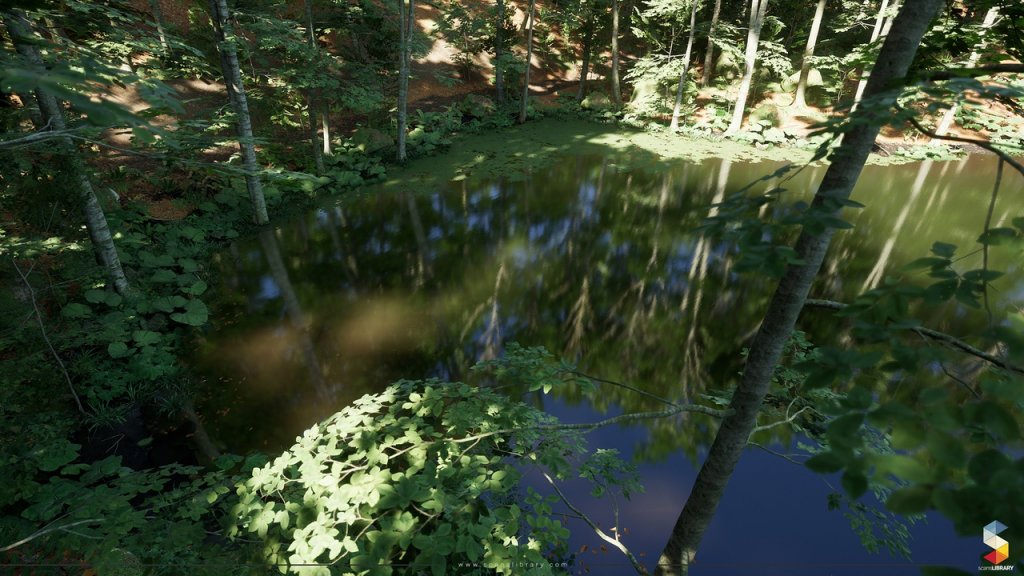 图片[15]-【UE虚幻资源】榉树林生态环境包-Beech Forest Ecosystem-IMAXCG