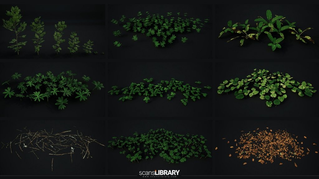 图片[16]-【UE虚幻资源】榉树林生态环境包-Beech Forest Ecosystem-IMAXCG
