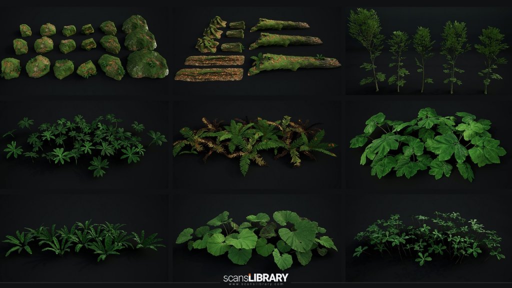 图片[17]-【UE虚幻资源】榉树林生态环境包-Beech Forest Ecosystem-IMAXCG