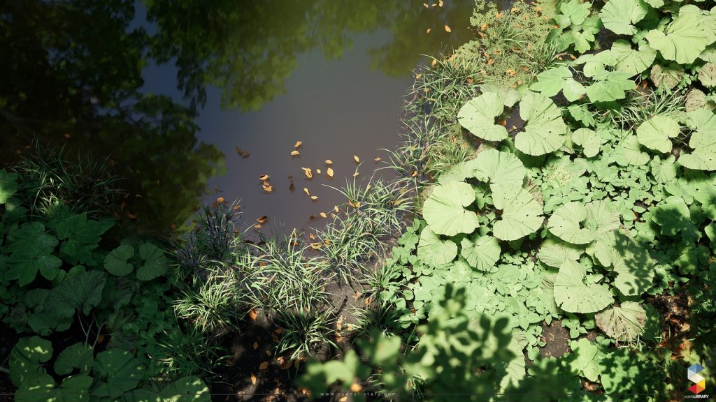 图片[3]-【UE虚幻资源】榉树林生态环境包-Beech Forest Ecosystem-IMAXCG