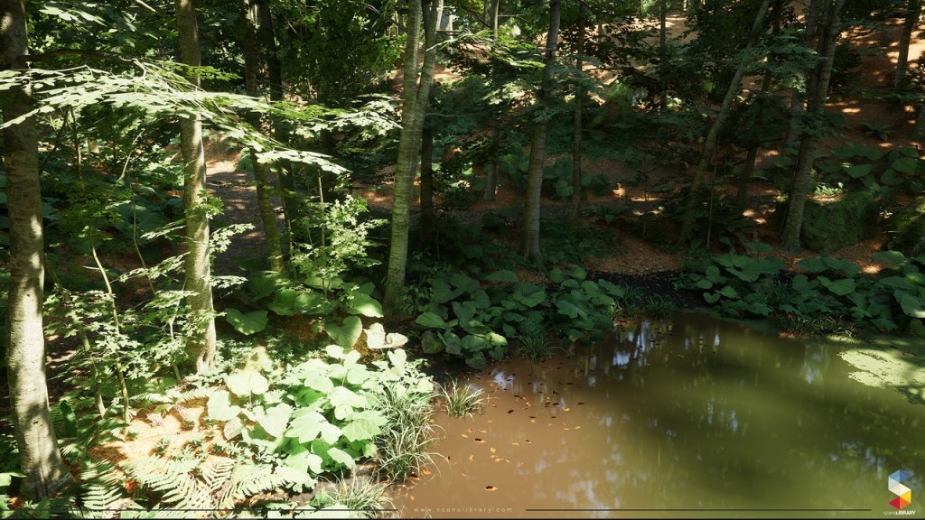 图片[4]-【UE虚幻资源】榉树林生态环境包-Beech Forest Ecosystem-IMAXCG
