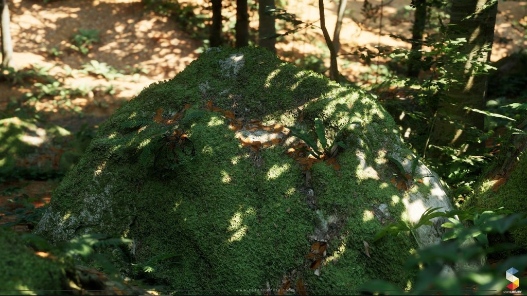 图片[5]-【UE虚幻资源】榉树林生态环境包-Beech Forest Ecosystem-IMAXCG