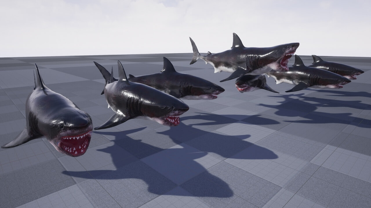 【UE虚幻资源】大白鲨模型带动画-Great White Shark Model and 7 Animations-IMAXCG