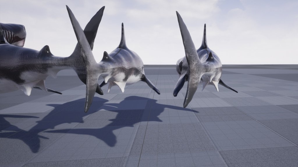 图片[2]-【UE虚幻资源】大白鲨模型带动画-Great White Shark Model and 7 Animations-IMAXCG