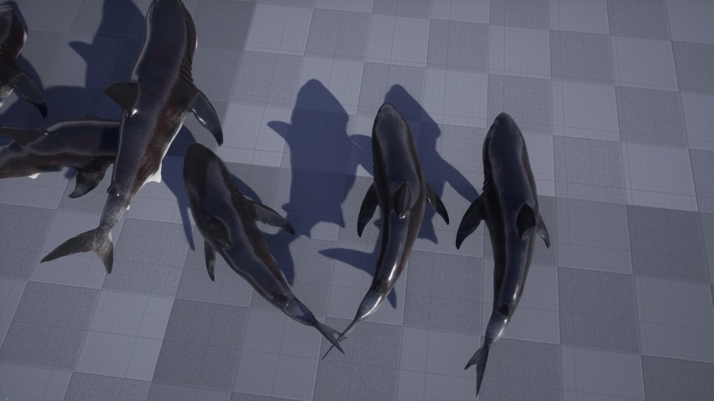 图片[3]-【UE虚幻资源】大白鲨模型带动画-Great White Shark Model and 7 Animations-IMAXCG