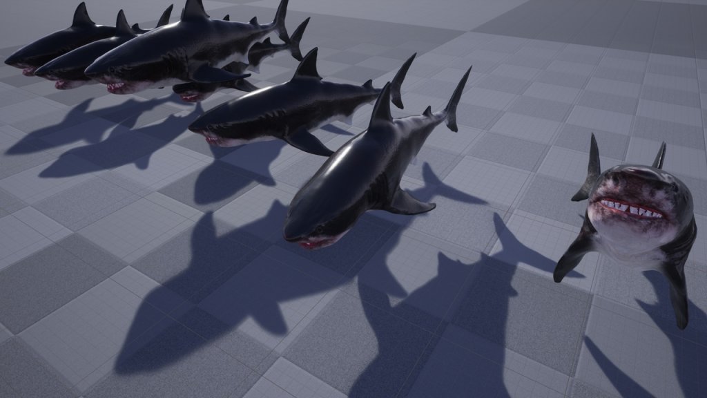 图片[4]-【UE虚幻资源】大白鲨模型带动画-Great White Shark Model and 7 Animations-IMAXCG