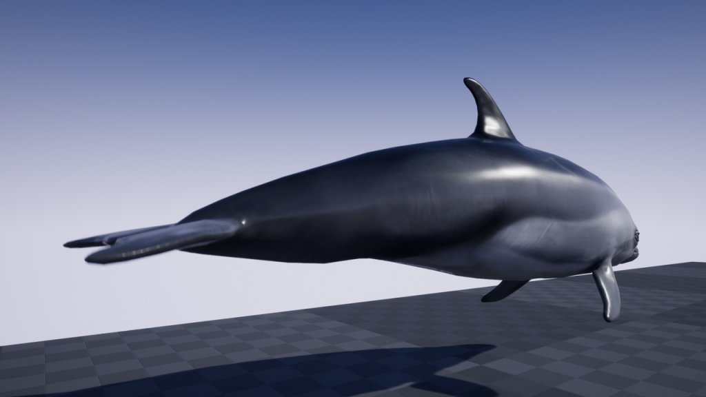 图片[2]-【UE虚幻资源】海豚资源-OCEAN LIFE: DOLPHIN-IMAXCG