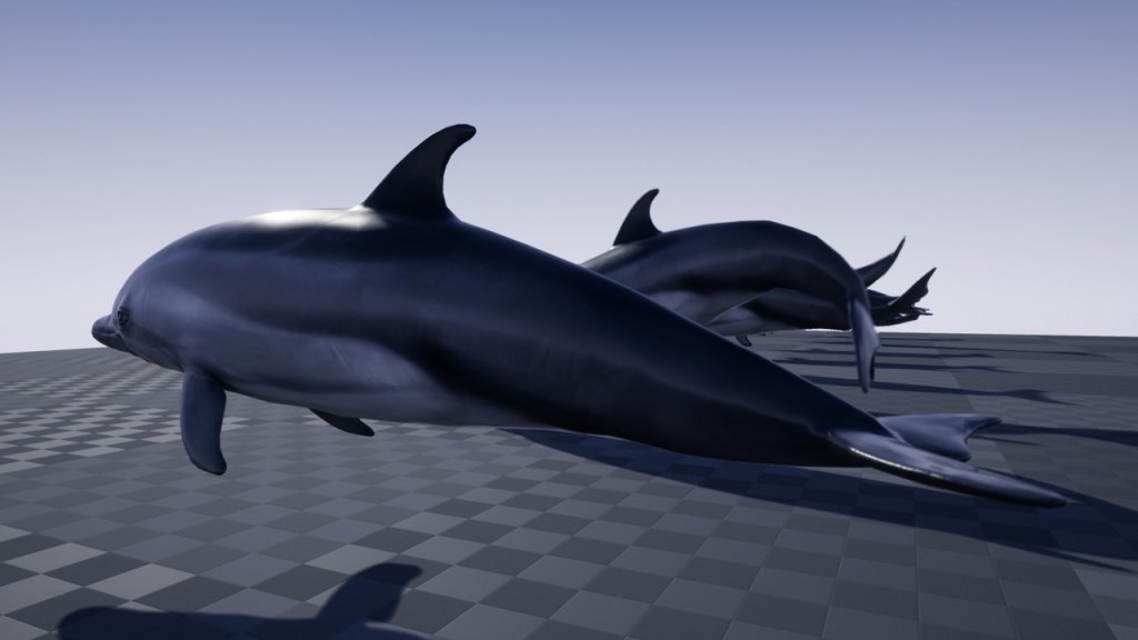 图片[3]-【UE虚幻资源】海豚资源-OCEAN LIFE: DOLPHIN-IMAXCG