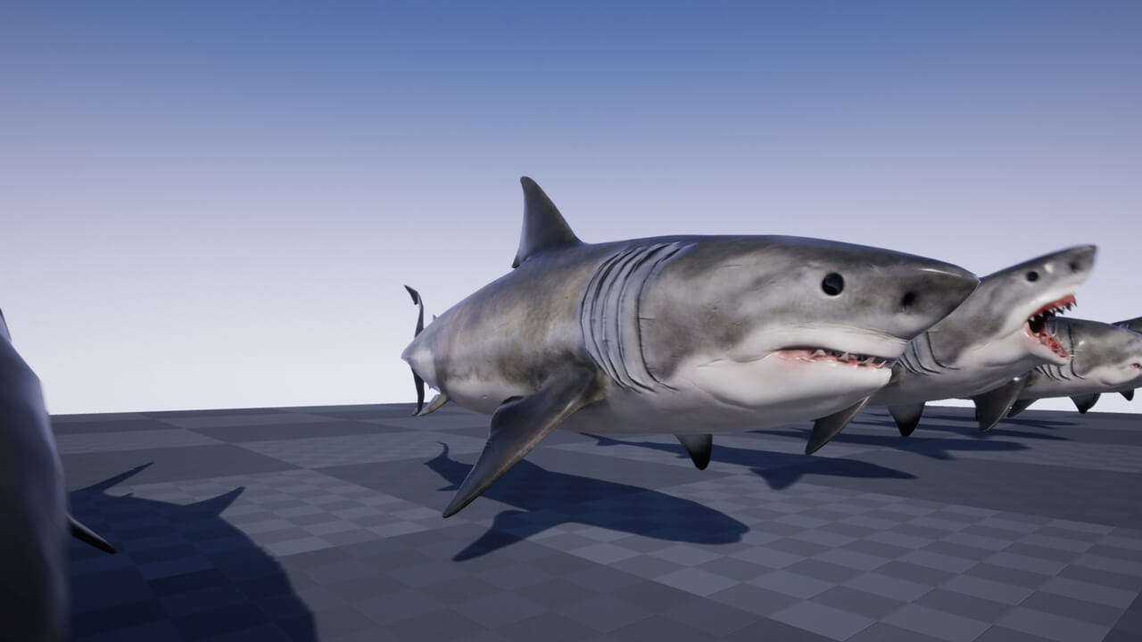 【UE虚幻资源】海洋生物：大白鲨-OCEAN LIFE: GREAT WHITE SHARK-IMAXCG