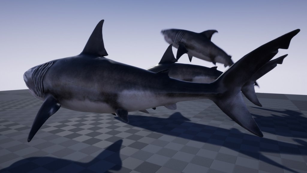 图片[3]-【UE虚幻资源】海洋生物：大白鲨-OCEAN LIFE: GREAT WHITE SHARK-IMAXCG